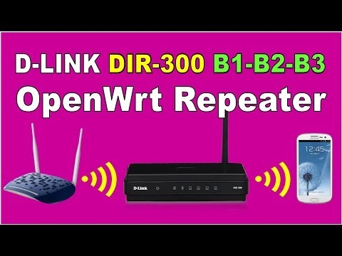 Le problème avec les paramètres du routeur D-Link Dir-300. Erreur 